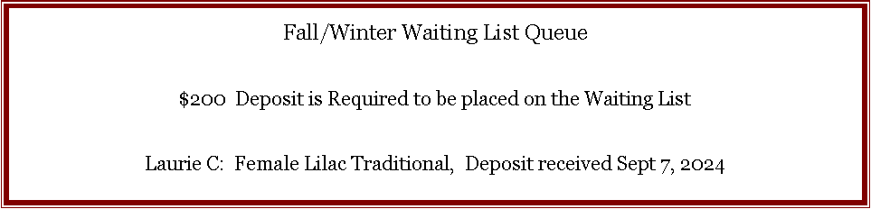 Text Box: Fall/Winter Waiting List Queue           $200  Deposit is Required to be placed on the Waiting ListLaurie C:  Female Lilac Traditional,  Deposit received Sept 7, 2024