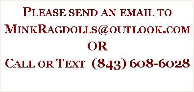 Text Box: Please send an email to MinkRagdolls@outlook.comORCall or Text  (843) 608-6028