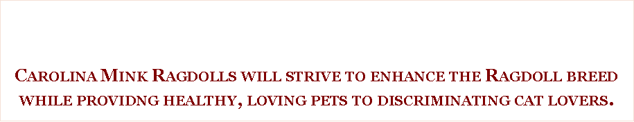 Text Box: Carolina Mink Ragdolls will strive to enhance the Ragdoll breed while providng healthy, loving pets to discriminating cat lovers. 